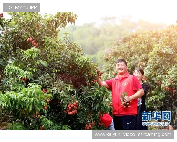 开云体育会不会黑钱 电子真人避坑技巧与极速提现秘诀